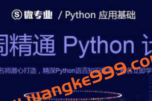 网易微专业《python应用基础》：11周精通python计划，北京理工大学&嵩天潜心打造