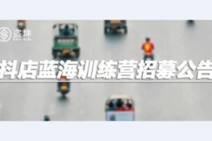 盗坤 抖店蓝海训练营