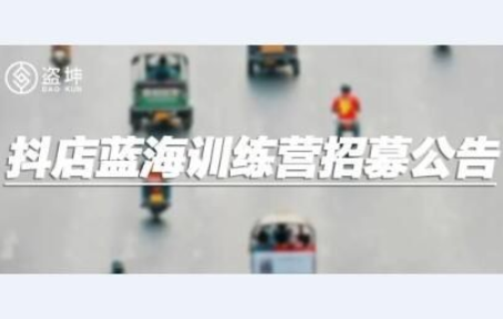 盗坤 抖店蓝海训练营插图