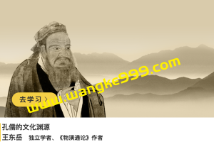 王东岳《孔儒的文化渊源》