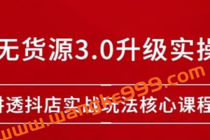 雷子抖店无货源3.0升级实操玩法：讲透抖店实战玩法核心