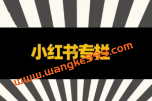 品牌医生-小红书全链营销干货