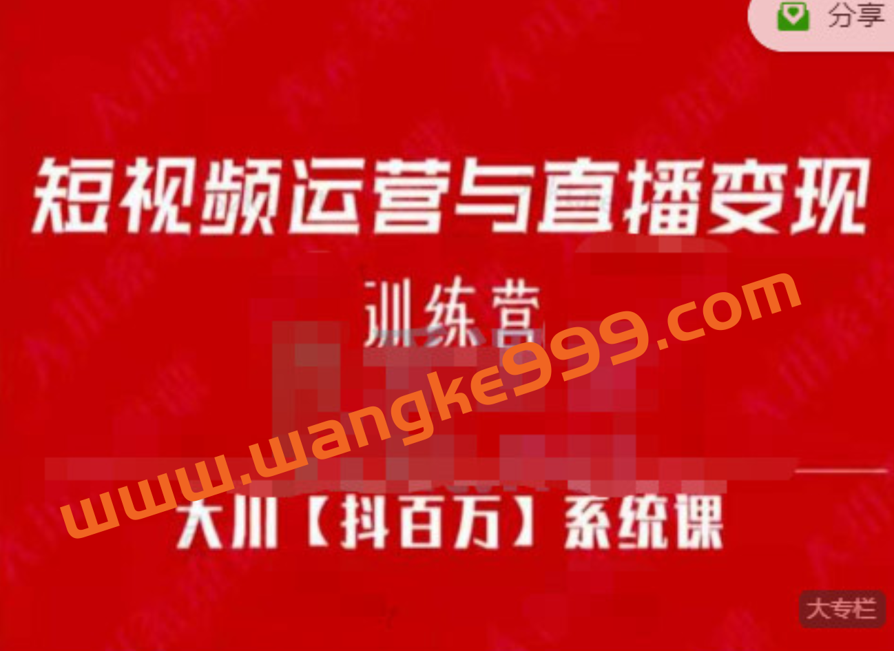 大川百万系统课《短视频运营与直播变现》帮助你在抖音赚到第一个100万插图
