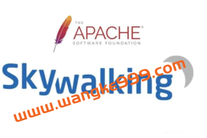 搞懂SkyWalking整体架构设计31讲