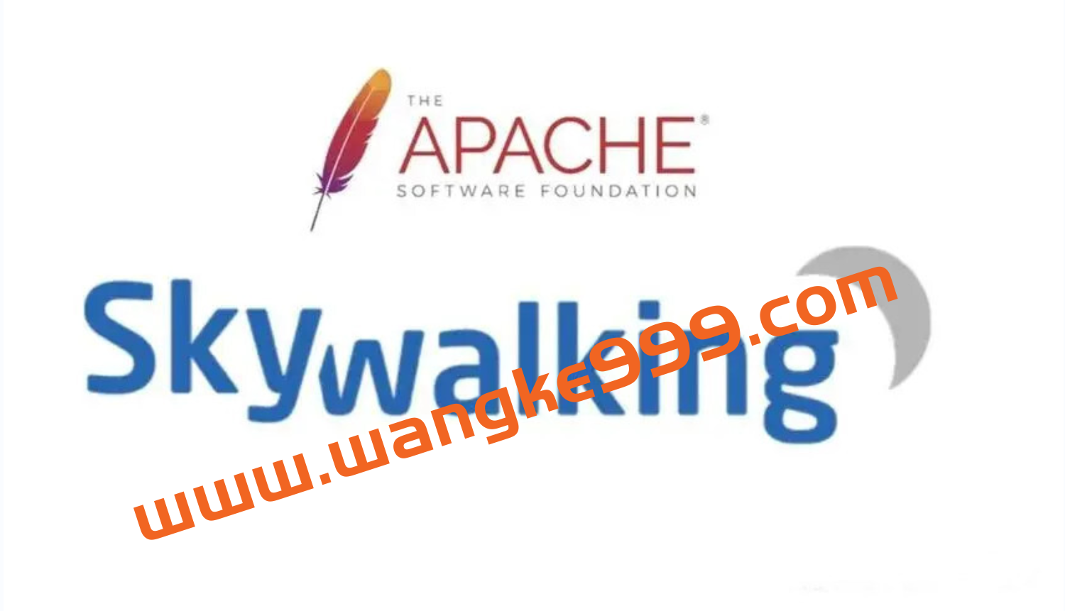 搞懂SkyWalking整体架构设计31讲插图