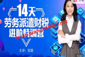张翅《14天劳务派遣财税进阶特训营》
