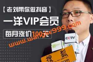一洋VIP《每月集训课》：老刘带你做抖音，VIP内部社群课程+指导+资源+联盟+交流会