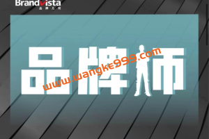 品牌几何《品牌师-品牌构建完整体系课》