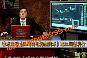【张欣】股票短线实战操盘技术（第一部）