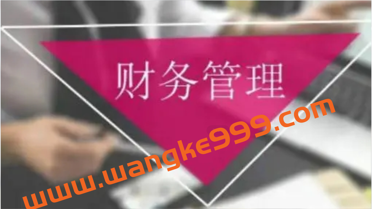 【金融财务】投融资决策与企业价值管理插图