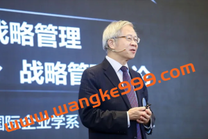 【汤明哲】战略的布局和段数