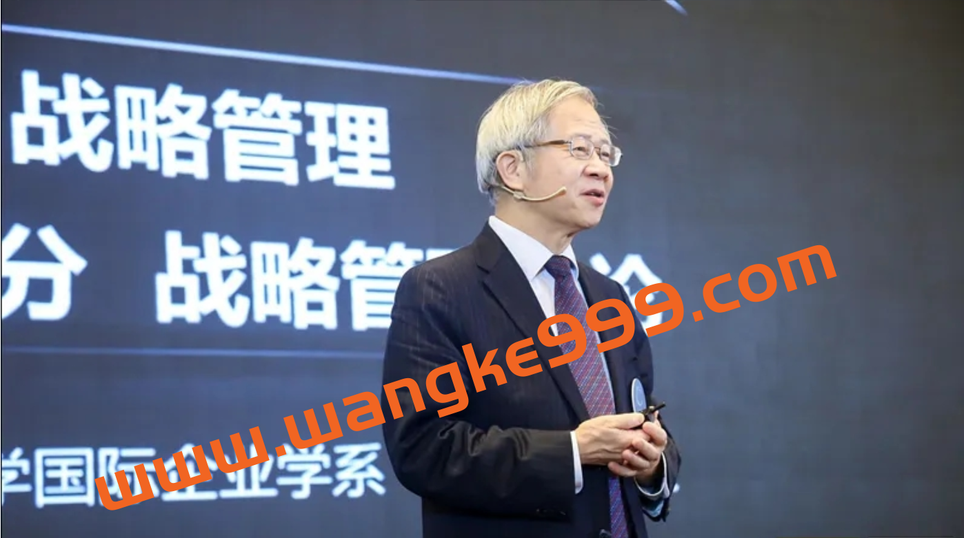 【汤明哲】战略的布局和段数插图