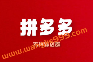 新奇电商《2022年拼多多店群》：无货源店群模式，截流爆单玩赚拼多多