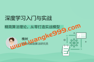 槐树《深度学习入门与实战》：带你精简算法理论，从零打造实战模型