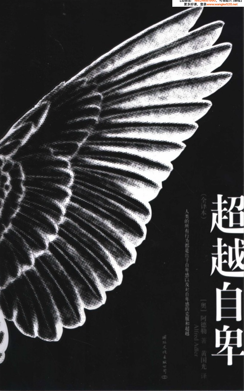 【电子书pdf】超越自卑  [奥]阿德勒 著  黄国光 译插图