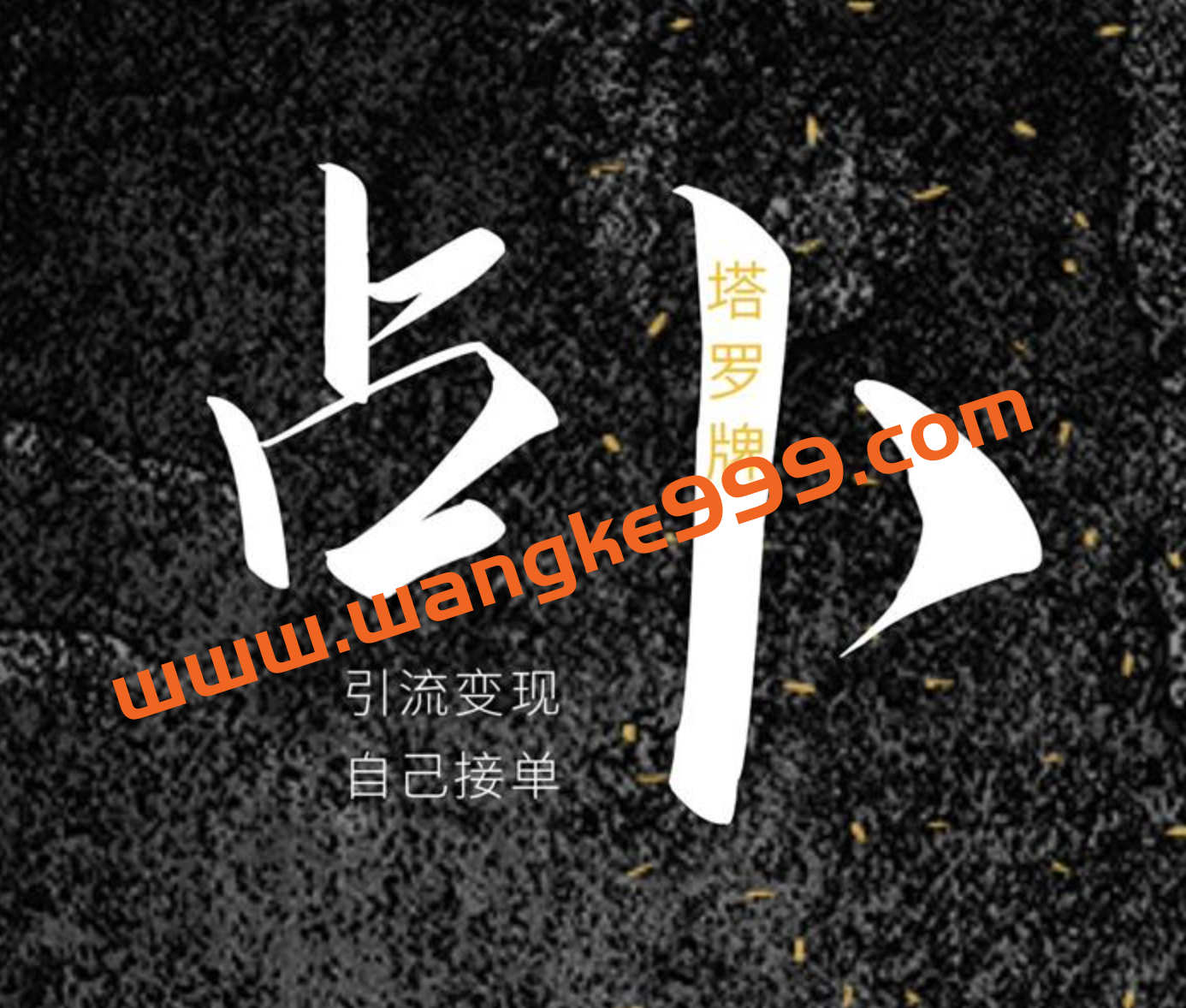 阿宝烨《塔罗牌引流变现项目》:引流变现,自己接单插图 阿宝烨《塔罗牌引流变现项目》:引流变现,自己接单插图