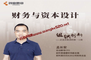 组织创新模块六·财务与资本设计：创业酵母CFO孟长安主讲