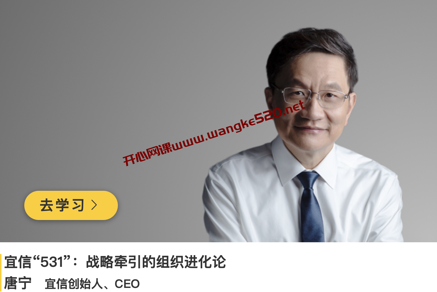 唐宁《宜信“531”：战略牵引的组织进化论》插图