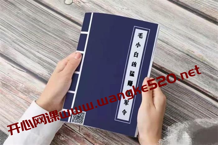 毛小白《凶猛赚钱军令》:电子书PDF,可打印百度网盘发货插图 毛小白《凶猛赚钱军令》:电子书PDF,可打印百度网盘发货插图