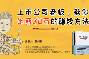 蓝小雨《上市公司老板，教你年薪30万的赚钱方法》：找到高薪行业和进阶赚钱方法