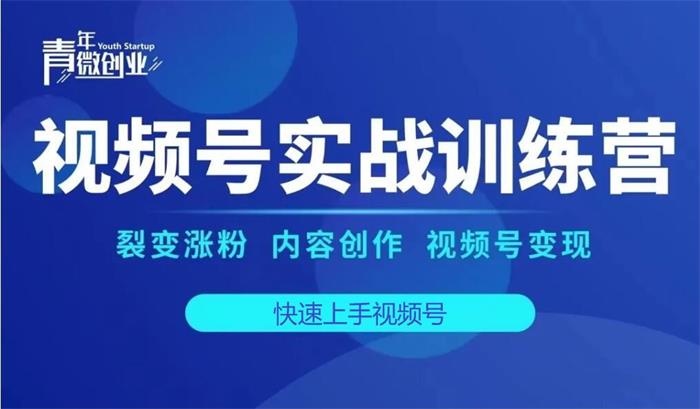 张萌萌《视频号实战训练营》：裂变涨粉 内容创作 视频号变现插图