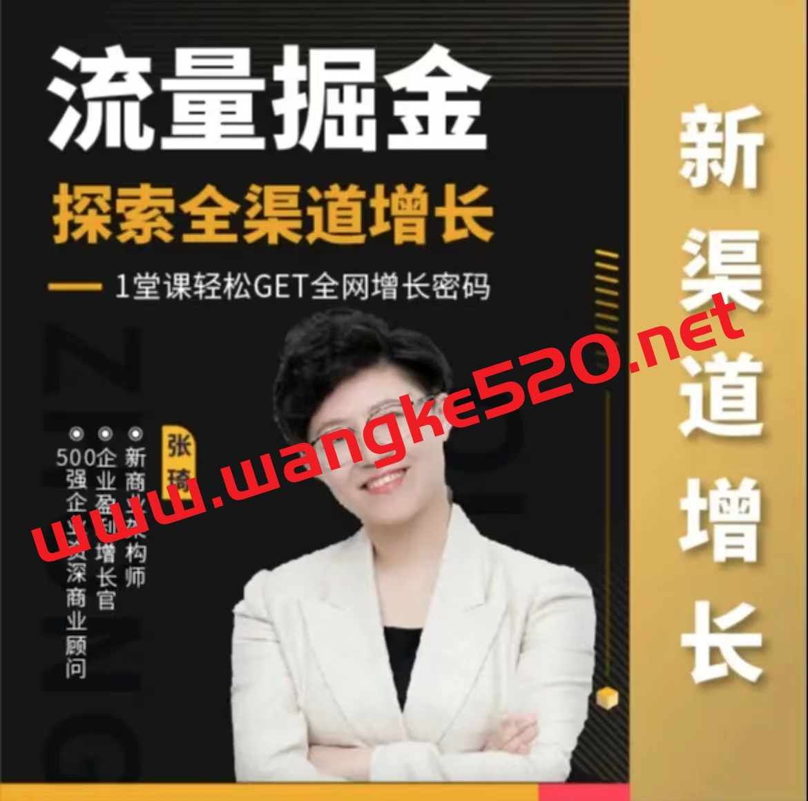 【张琦爆款视频课】引爆流量全渠道增长:流量掘金,探索全渠道增长,1堂课轻松get全球增长密码插图 【张琦爆款视频课】引爆流量全渠道增长:流量掘金,探索全渠道增长,1堂课轻松get全球增长密码插图