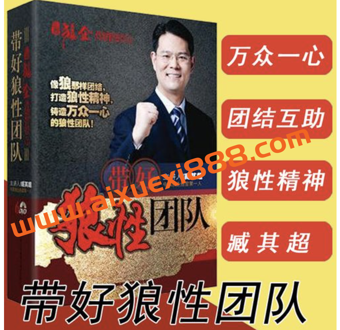 臧其超《带好狼性团队》：打造狼性精神，铸造万众一心的狼性团队插图