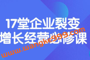 张琦·盈利增长17堂必修课：助力企业业绩增长 在线视频课程