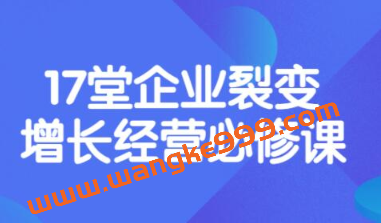 张琦·盈利增长17堂必修课：助力企业业绩增长 在线视频课程插图