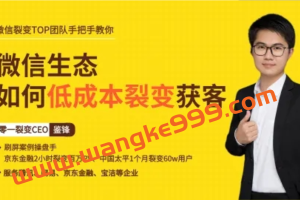 鉴锋《微信生态如何低成本裂变获客》：微信裂变TOP团队手把手教你