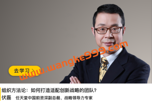 伏磊《组织方法论：如何打造适配创新战略的团队》