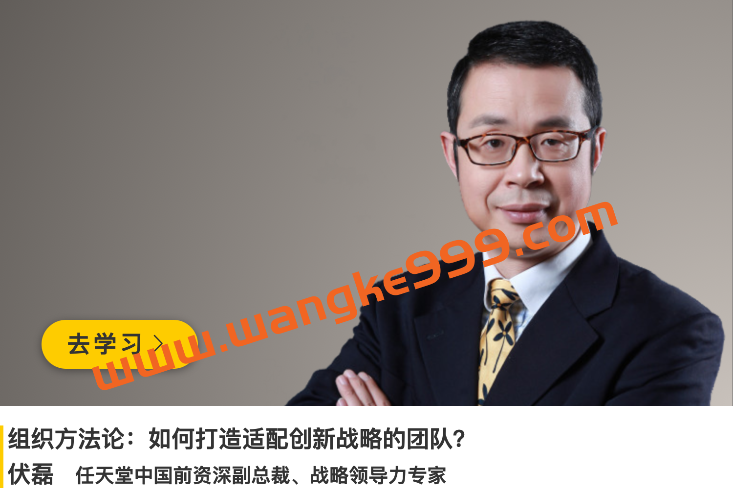 伏磊《组织方法论：如何打造适配创新战略的团队》插图