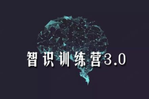 L先生·智识训练营3.0：教你思维模型及它们背后的原理和机制