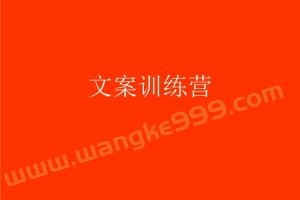 【公文写作】政府文案训练营100天提升计划