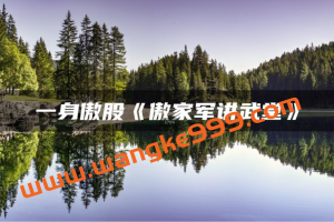 一身傲股《傲家军讲武堂》股票讲座视频教程