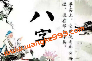 柴犬花生酱《八字基础班》培训课程+速成