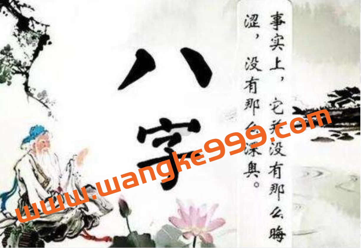 柴犬花生酱《八字基础班》培训课程+速成插图