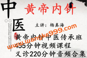 杨真海《黄帝内针》培训课程视频教学