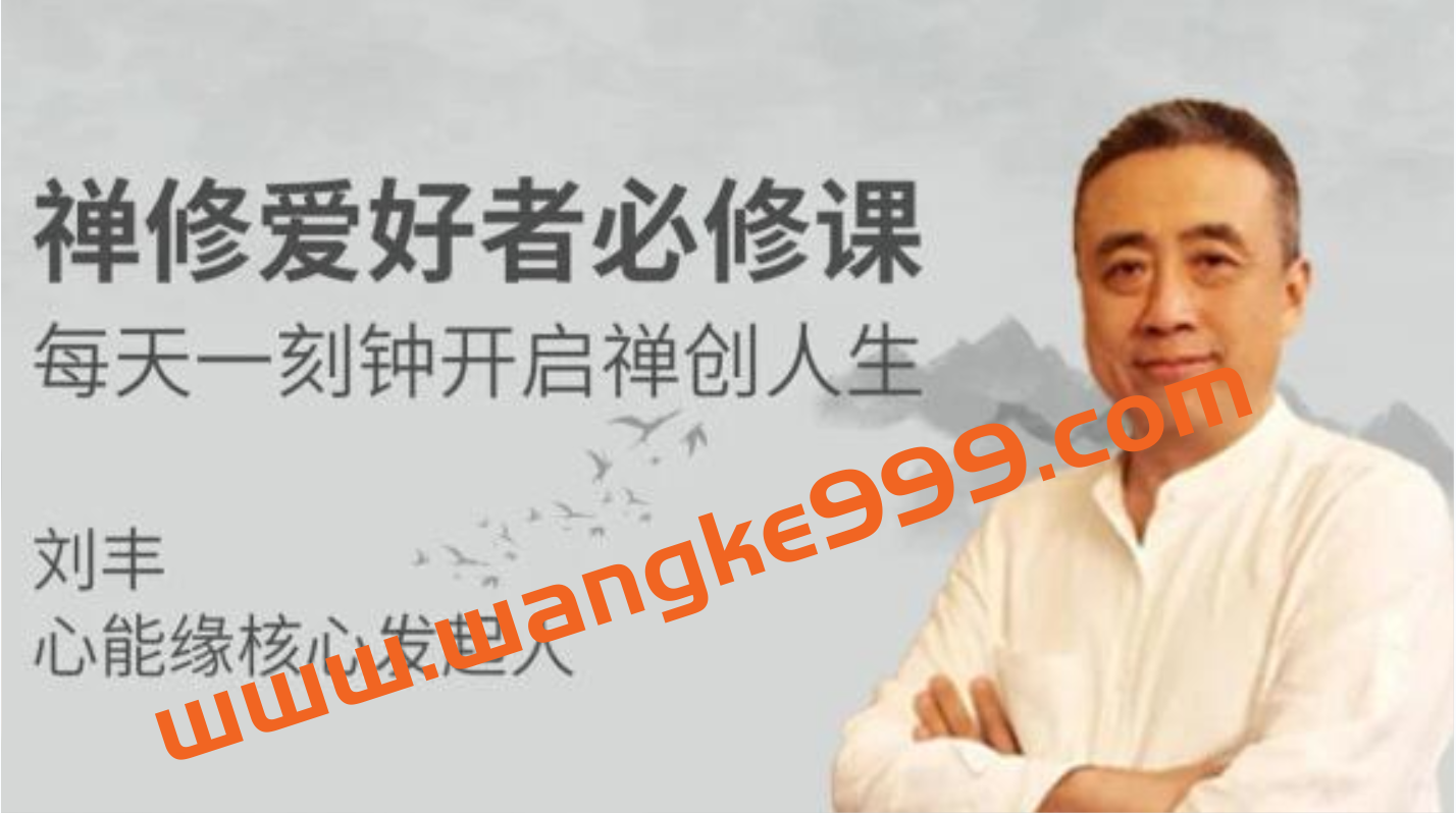 刘丰《禅修养心》讲座视频，禅修爱好者必修课插图