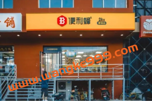【便利蜂思考】算法驱动，升级便利店体验