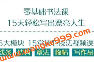 十点课堂·零基础也能学好的书法课 ：15天轻松写出漂亮人生