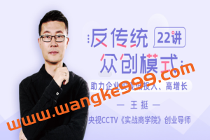 王挺《反传统众创模式22讲》：助力企业实现低投入、高增长