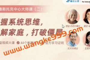 塔维斯托克中心大师课《掌握系统思维，理解家庭，打破僵局》