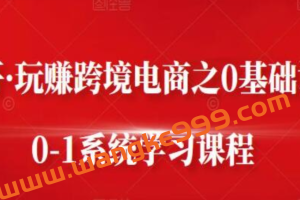 朱哥《玩赚跨境电商之0基础课程》0-1系统学习课程