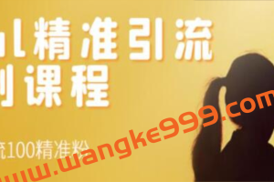 《SOUL精准引流系列课程》每天引流100精准粉