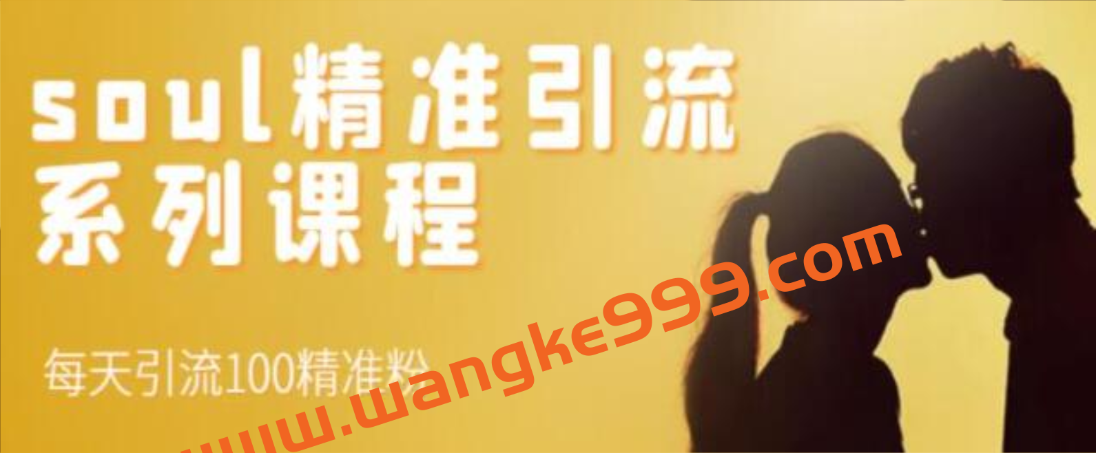 《SOUL精准引流系列课程》每天引流100精准粉插图