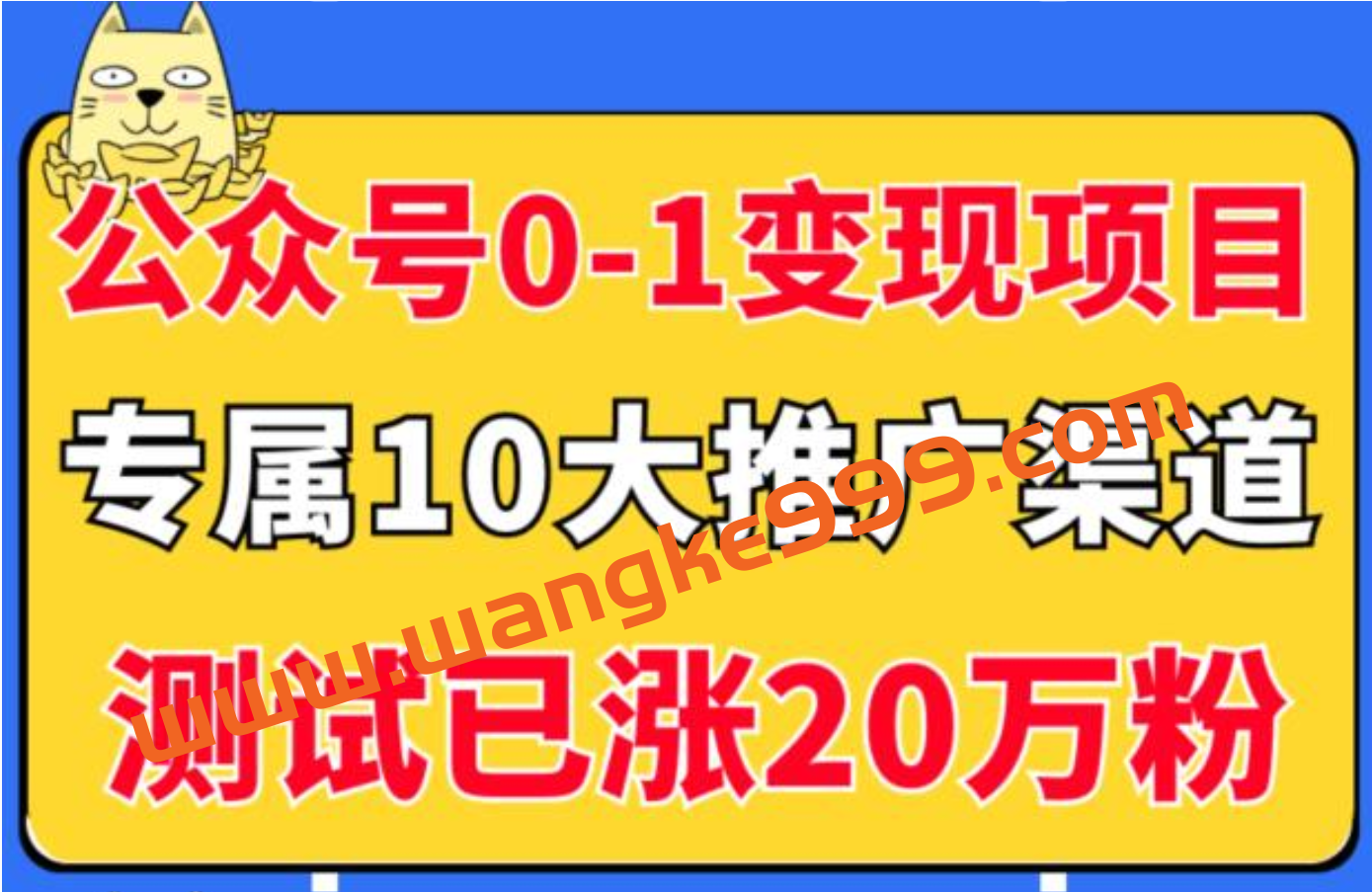 《公众号从0-1变现项目》公众号专属10大推广渠道，测试已涨20万粉！插图