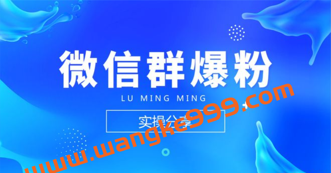 陆明明《微信群精准引流特训营3.0》借助微信群进行引流操作，打造私域流量插图