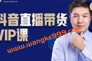 火焱社·锤十八《抖音直播带货VIP课》：专注直播带货有效盈利模式