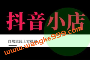 顽石电商·抖店自然流线上实操课【2022版】，从零教你做抖音小店